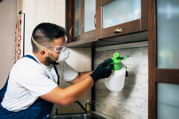 Best Affordable Pest Control Services  in Forest Park, IL