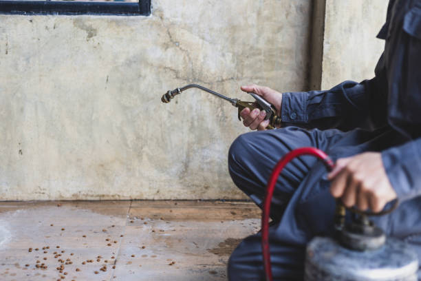 Best Pest Inspection Near Me  in Forest Park, IL